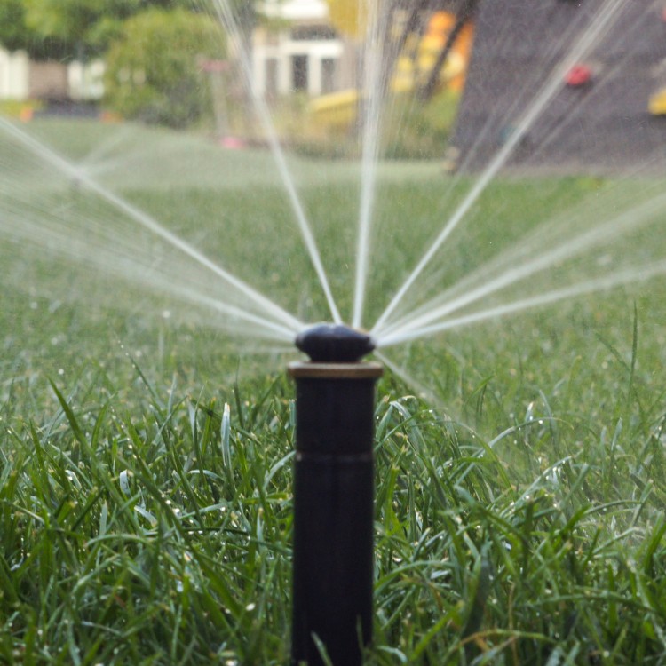 Landscaping in San Antonio, TX