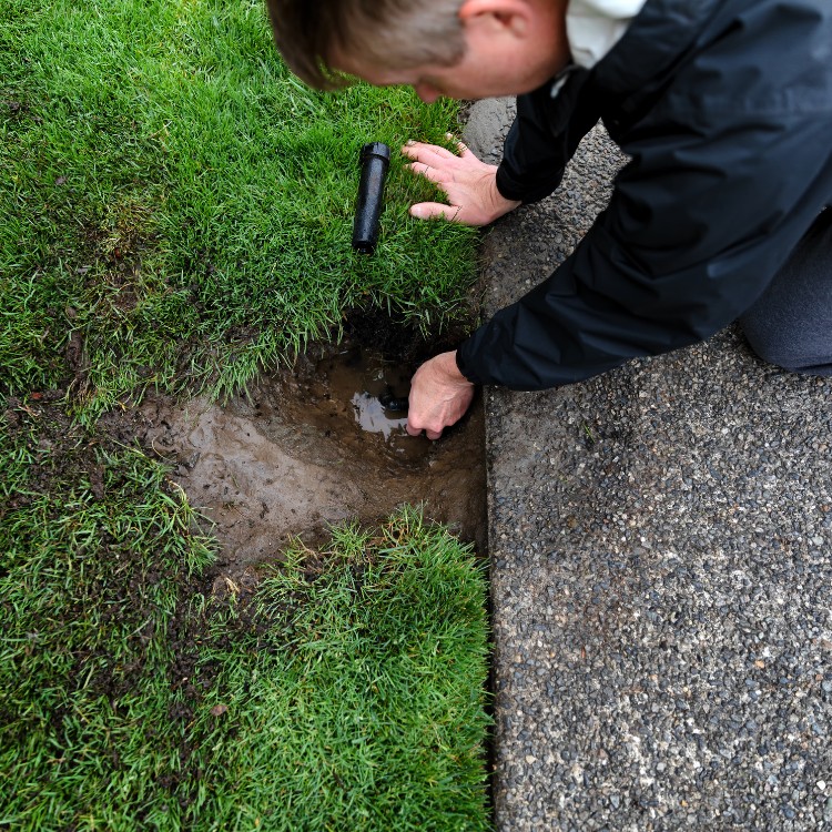 Landscaping in San Antonio, TX