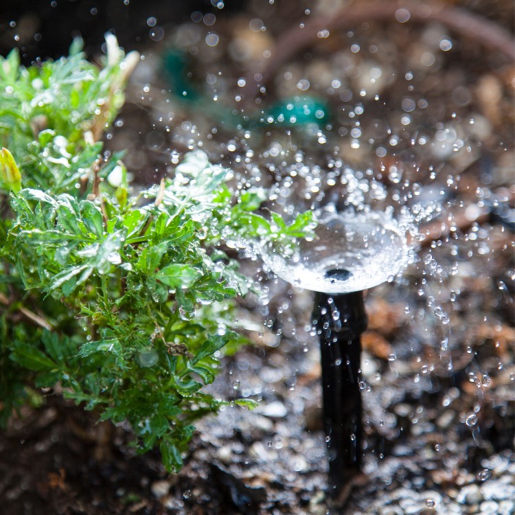 Landscaping in San Antonio, TX