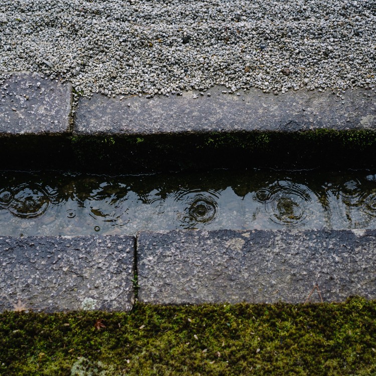 Landscaping in San Antonio, TX